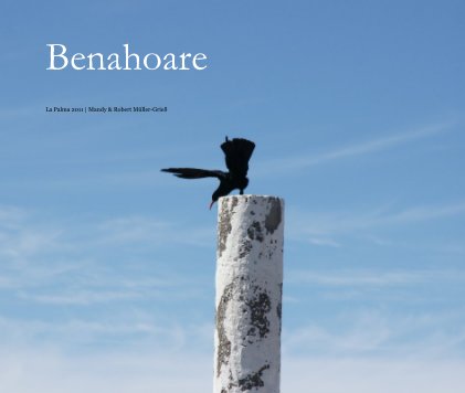 Benahoare book cover