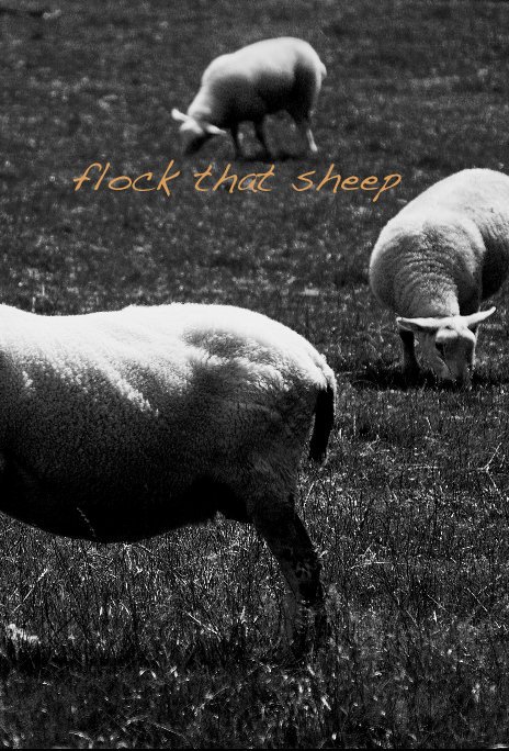 View flock that sheep by Martino
