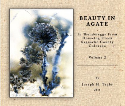 Beauty In Agate  Vol. 2
In Thundereggs From Houselog Creek, Saguache County, Colorado book cover
