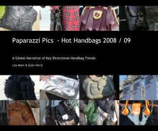 Paparazzi Pics - Hot Handbags 2008 / 09 book cover
