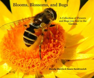 Blooms, Blossoms, and Bugs book cover