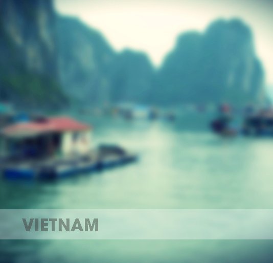 View Vietnam by Ewan Arnolda