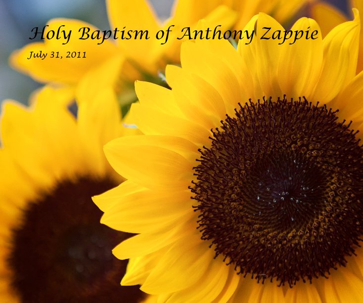View Holy Baptism of Anthony Zappie by Debbrab2