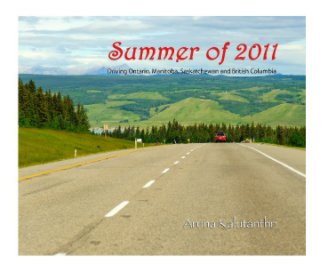 Summer of 2011 book cover