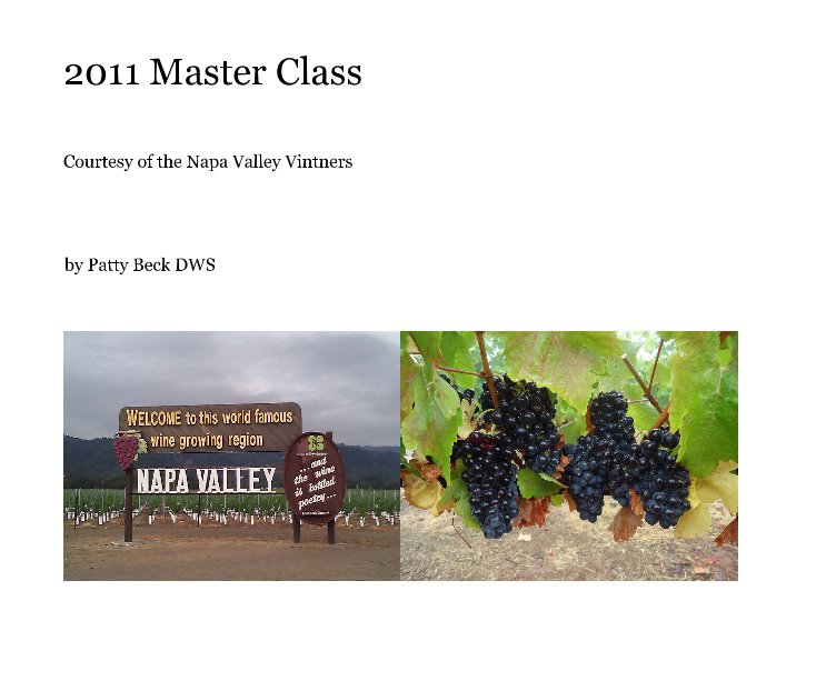 Ver 2011 Master Class por Patty Beck DWS