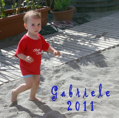 GABRIELE 2011 book cover