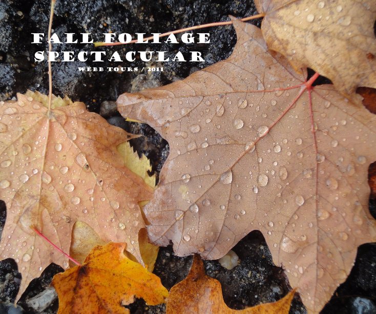 Ver Fall foliage spectacular WEBB Tours / 2011 por laurensmom