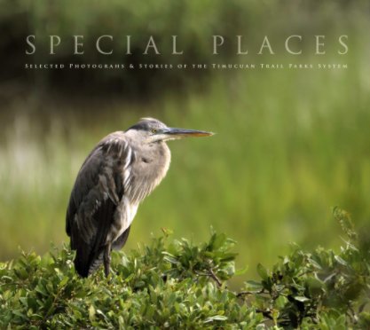 Special Places book cover