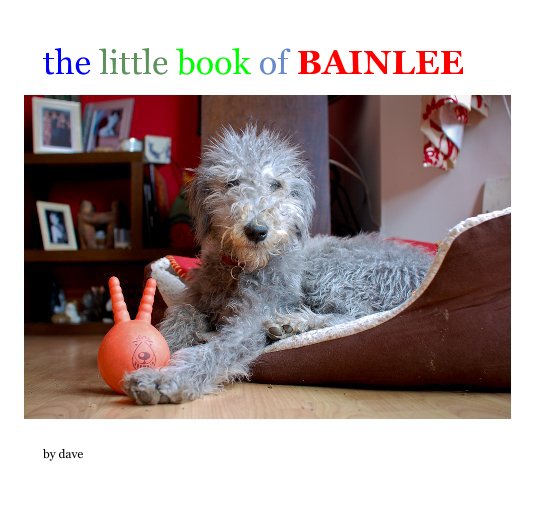 Ver the little book of BAINLEE por dave
