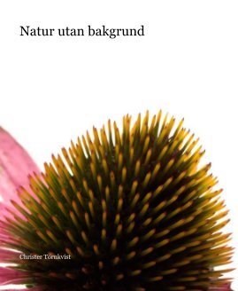 Natur utan bakgrund book cover