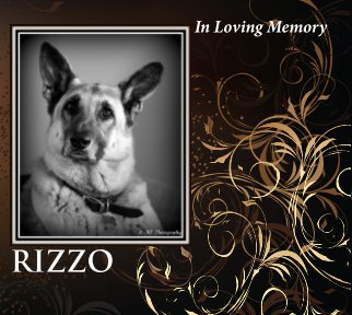 Rizzo book cover