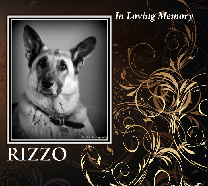 View Rizzo by Brandi Meads