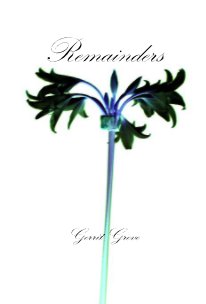 Remainders book cover