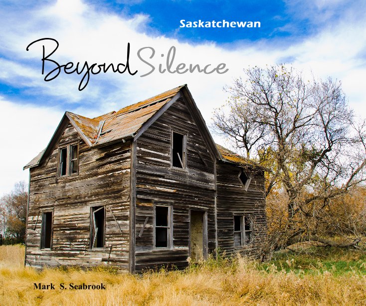 View BeyondSilence by Mark S. Seabrook
