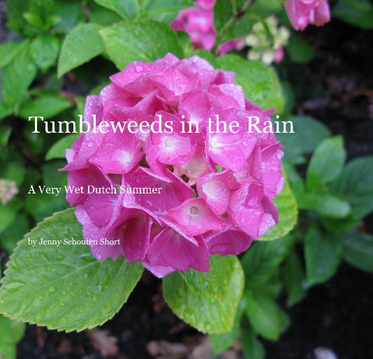 View Tumbleweeds in the Rain by Jenny Schouten Short