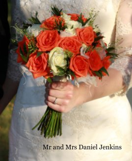 Mr and Mrs Daniel Jenkins book cover