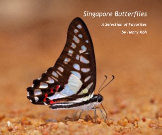 Singapore Butterflies book cover