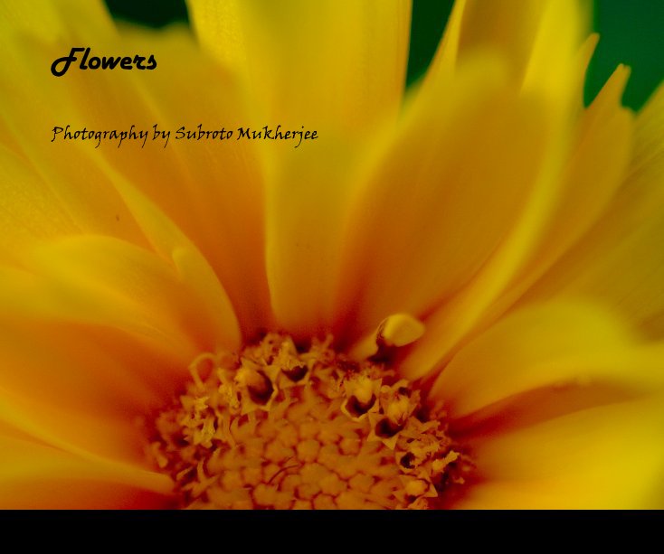 View Flowers by Photography by Subroto Mukherjee