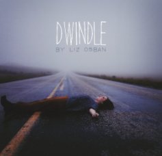 Dwindle book cover