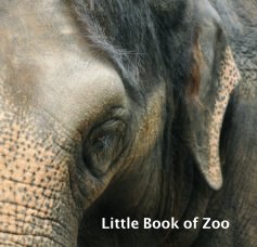 Little Book of Zoo book cover