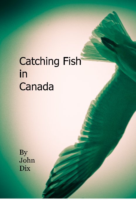 View Catching Fish in Canada by John Dix