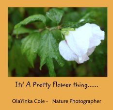 Its' A Pretty Flower thing...... book cover