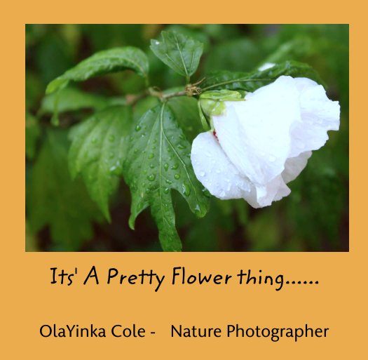 View Its' A Pretty Flower thing...... by OlaYinka Cole -   Nature Photographer