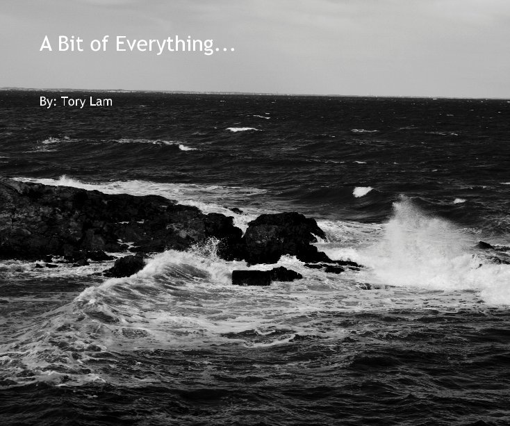 View A Bit of Everything... by By: Tory Lam