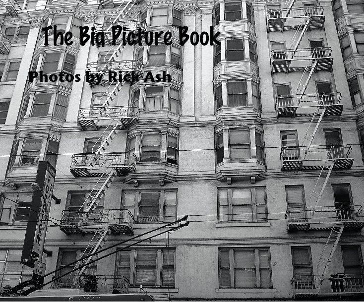 Ver The Big Picture Book por Photos by Rick Ash