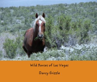 Wild Horses of Las Vegas book cover