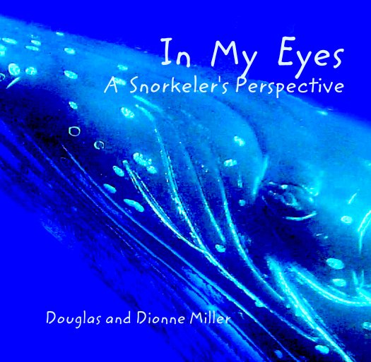 View In  My  Eyes
A  Snorkeler's Perspective by Douglas and Dionne Miller