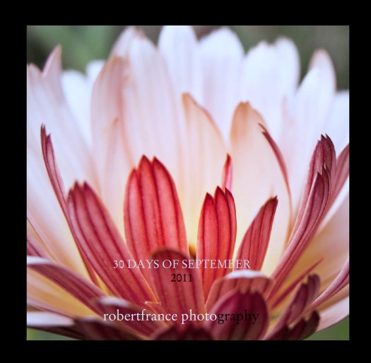 View 30 DAYS OF SEPTEMBER
2011 by robertfrance photography