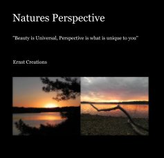 Natures Perspective (budget edition) book cover