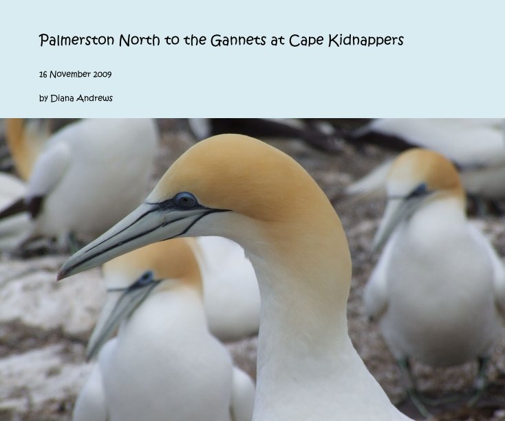 View Palmerston North to the Gannets at Cape Kidnappers by Diana Andrews
