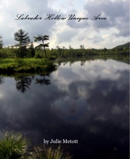 Labrador Hollow Unique Area book cover