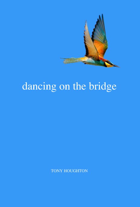 View Dancing on the Bridge by TONY HOUGHTON