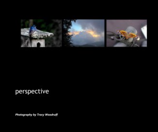 perspective book cover