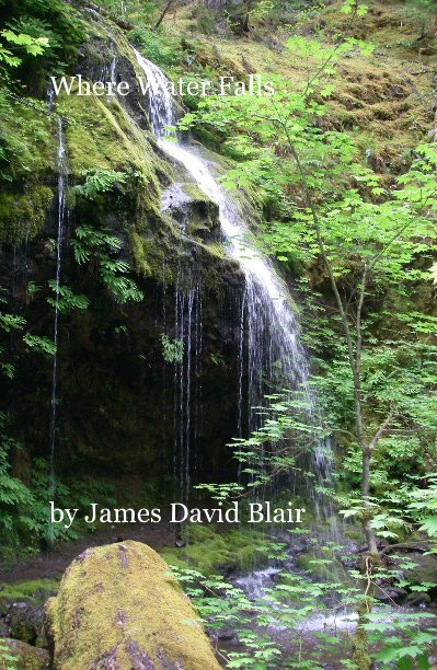 View Where Water Falls by James David Blair