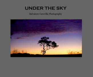 UNDER THE SKY book cover