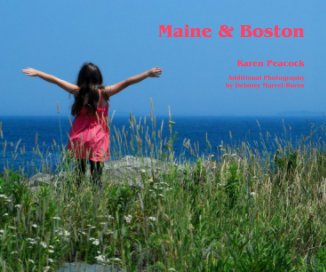 Maine & Boston book cover