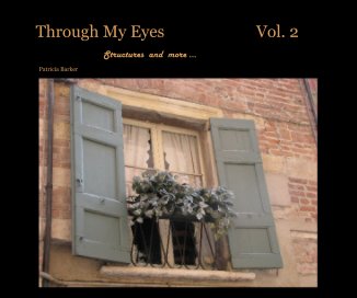 Through My Eyes Vol. 2 book cover