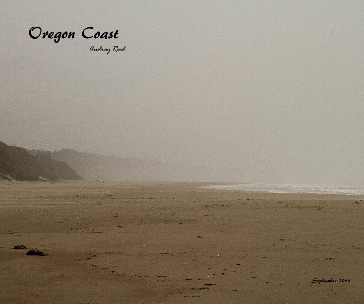 View Oregon Coast by Audray Reed
