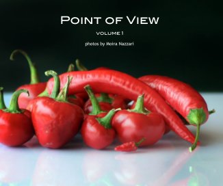 Point of View book cover