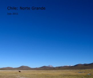 Chile: Norte Grande book cover