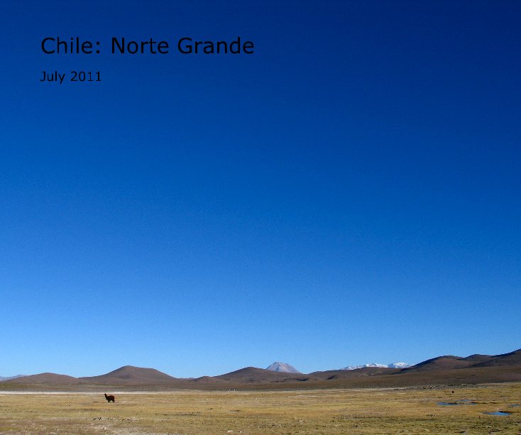 View Chile: Norte Grande by Walzer-Goldfeld