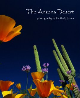 The Arizona Desert (8x10) book cover