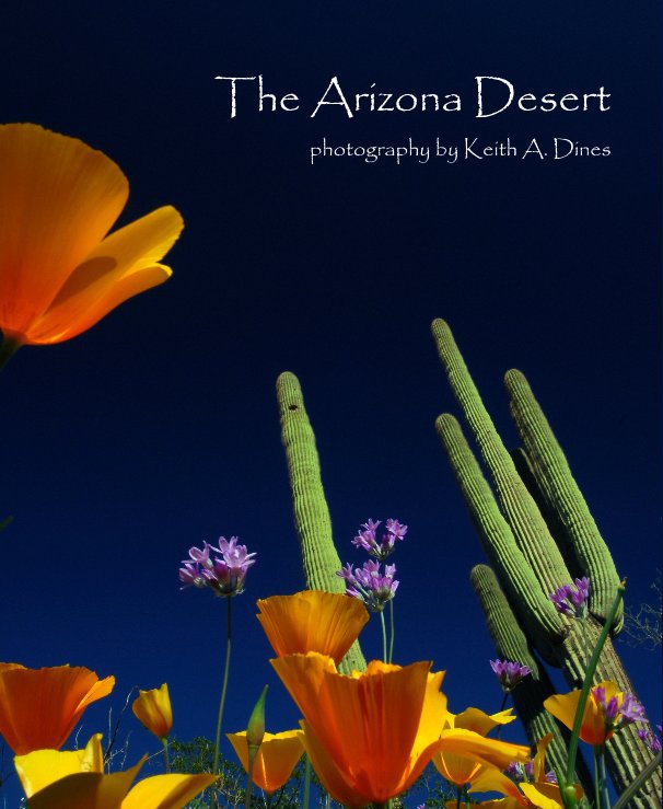 Ver The Arizona Desert (8x10) por Keith A. Dines