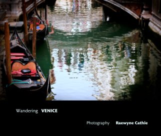 Wandering   VENICE book cover