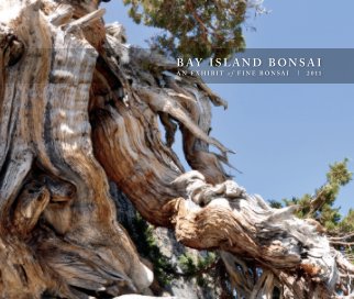 An Exhibit of Fine Bonsai 2011 book cover