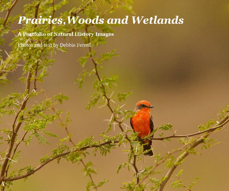 View Prairies,Woods and Wetlands by Photos and text by Debbie Ferrell